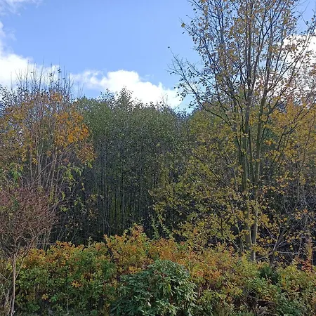 Kurzacka Szklarska Poręba