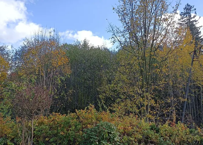 Kurzacka Schreiberhau